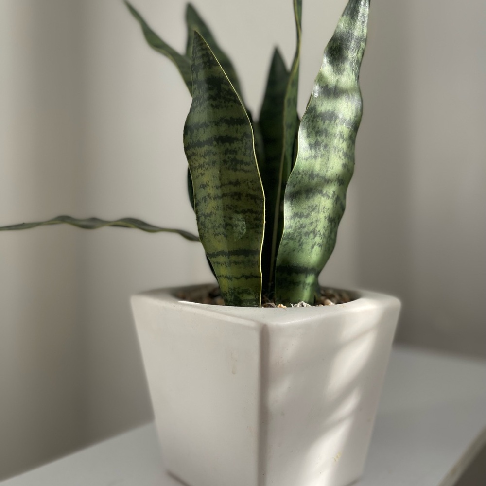 🎉🎉🎉Artificial Potted Plant Home Decor Bedroom Bathroom Office